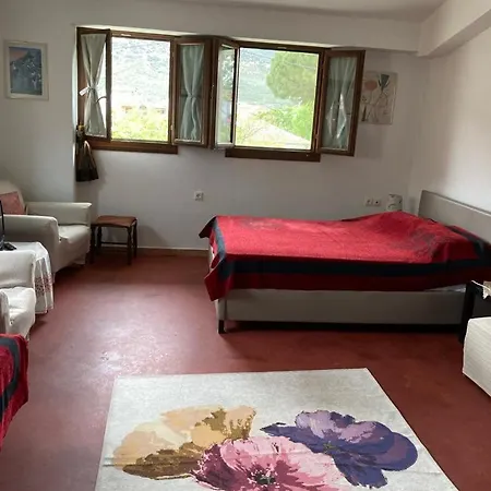 Daire εν αγρια *